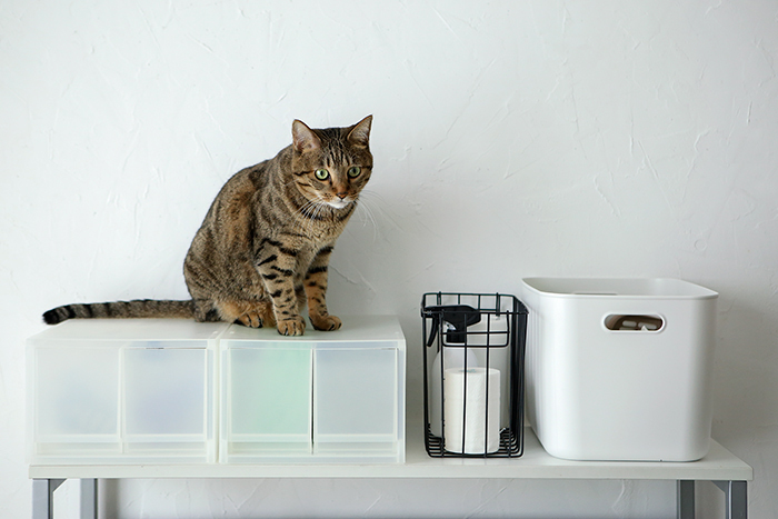 臭いや汚れが気になる猫用トイレ…掃除しやすい仕組みがキレイを保つ！猫のトイレ用品の収納  HOUSTO おウチの収納.com
