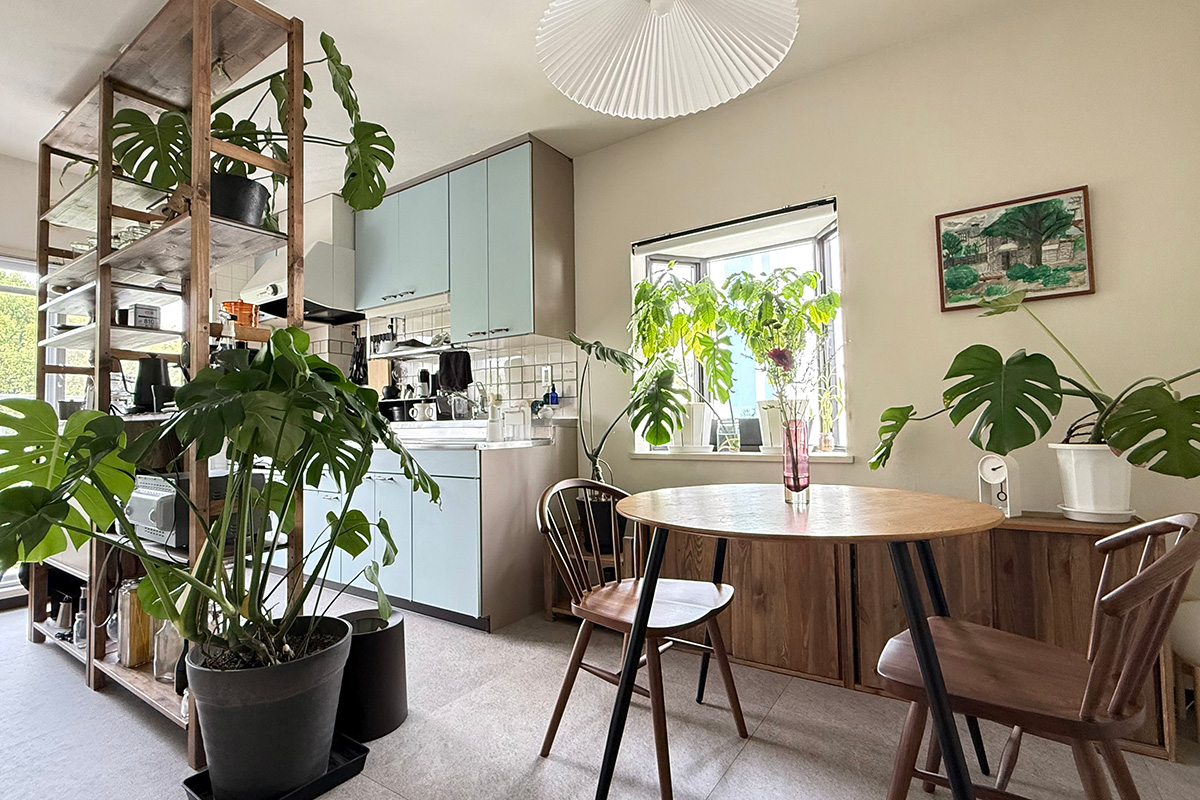 観葉植物とオープン棚が並ぶ、築40年団地のリビングダイニング。奥に水色の壁付けキッチンが見える松尾千尋さんの住まい